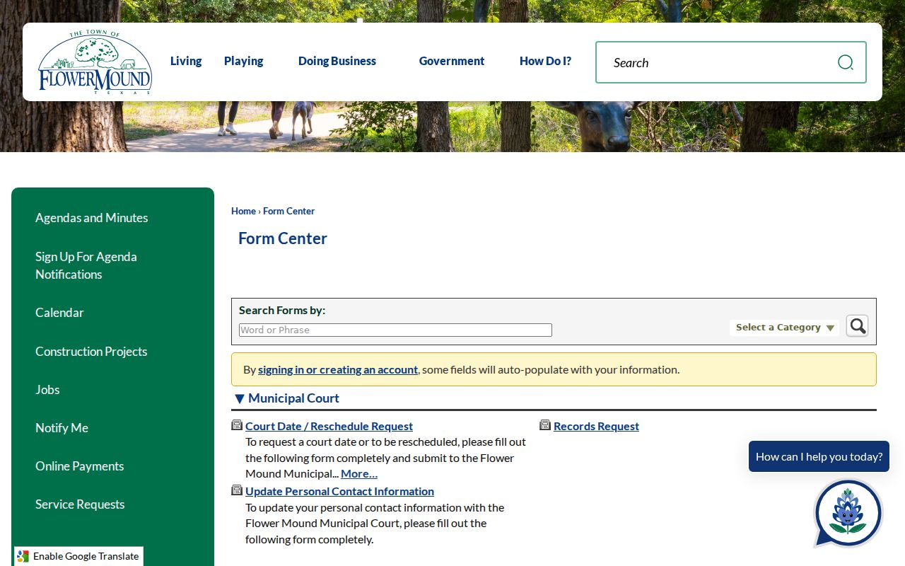 Flower Mound Municipal Court date and records form list